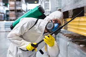 Best Fumigation Services  in Lewes, DE